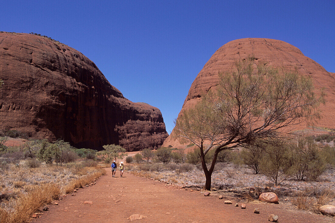 Tatintjawiya Walk, Kata Tjuta, The Olgas, Uluru-Kata Tjuta National Park, Northern Territory, Australien