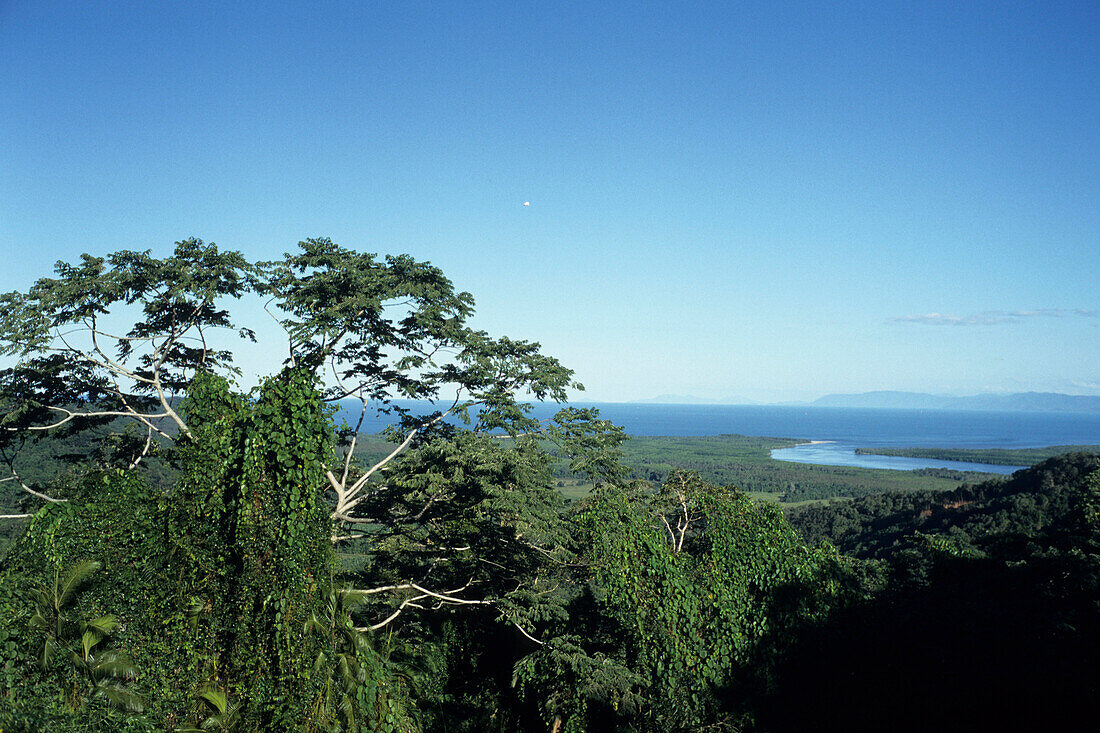 Rainforest and South Pacific, View from Alexandra Lookout, Daintree National Park, near Daintree, Queensland, Australia