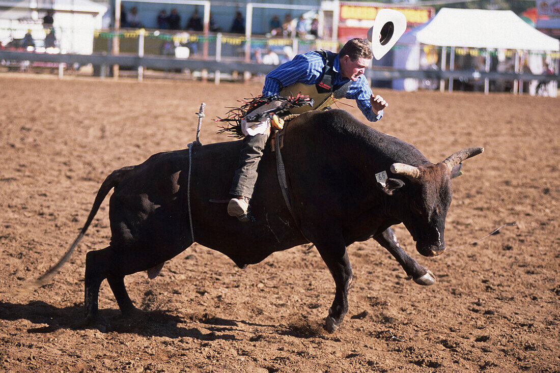 Bullriding at Cloncurry Rodeo, Cloncurry, Queensland, Australia