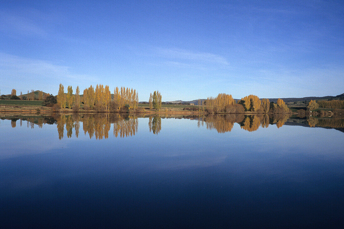 Pappeln am Meadowbank See, in der Nähe von Lawrenny, Tasmanien, Australien
