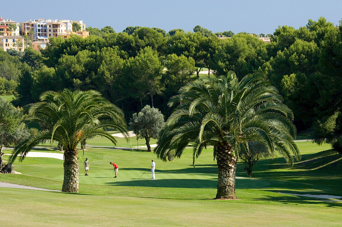 Menschen auf einem Golfplatz, Real Golf de Bendinat, Mallorca, Balearen, Spanien, Europa