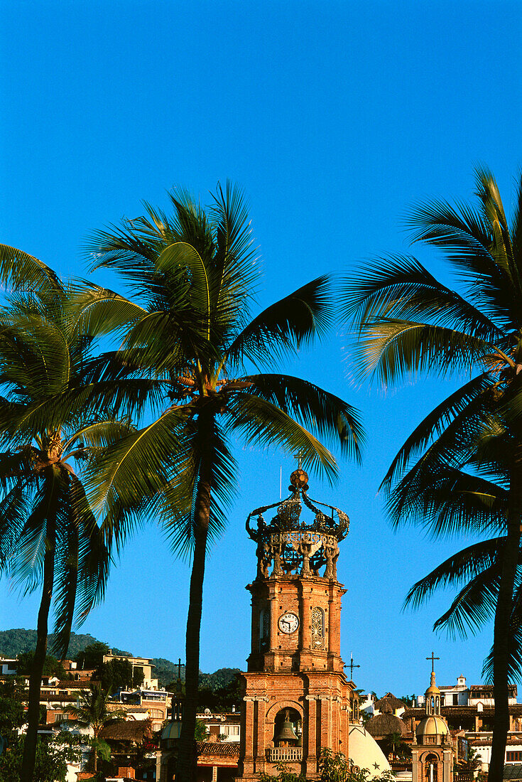 Tower, Templo de Guadaloupe with palm trees, Puerto Vallarta, Mexico