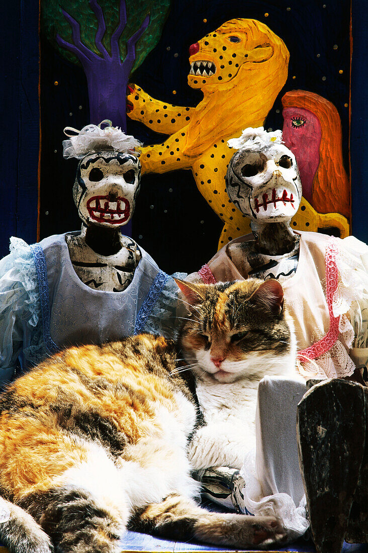 Cat with two typical mexican masks in the background, Guanajuato, Mexico