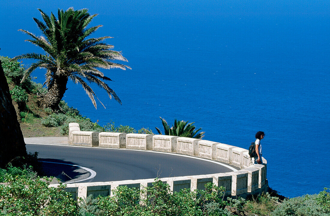 Road to Taganana, Anaga Mountains, Tenerife, Canary Islands, Spain