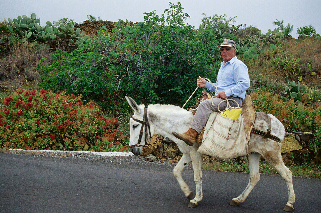Farmer riding on donkey, El Hierro, Canary Islands, Spain