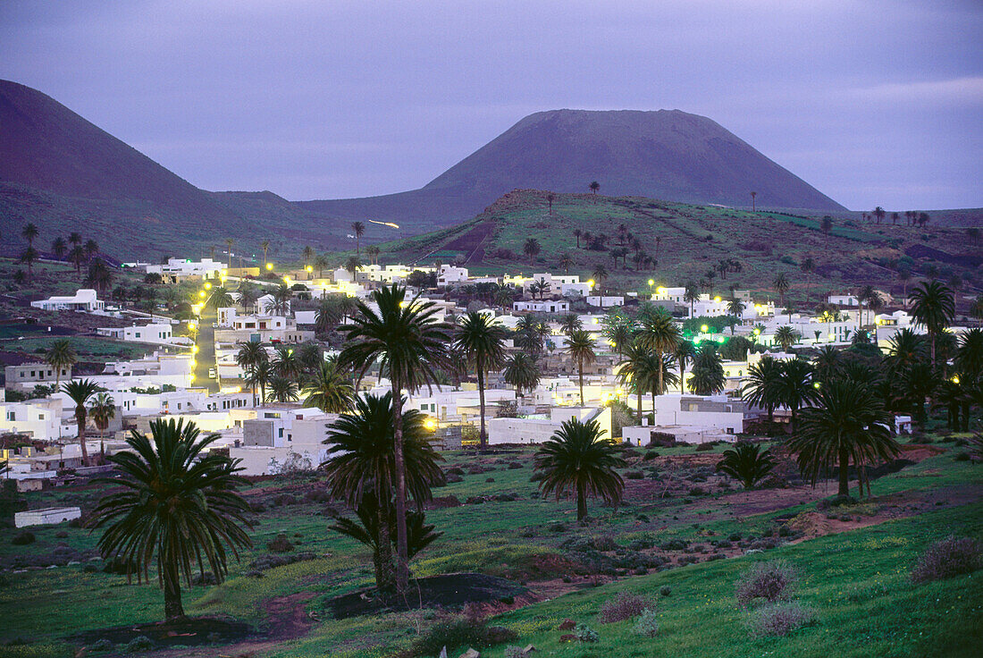 Valley of thousand palm trees, Haria, Lanzarote, Canary Islands, Spain