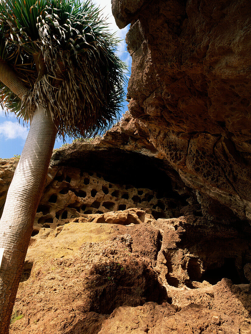 Prehistoric caverns, Cenubio de Valerón bei Moya, Gran Canaria, Canary Islands, Spain