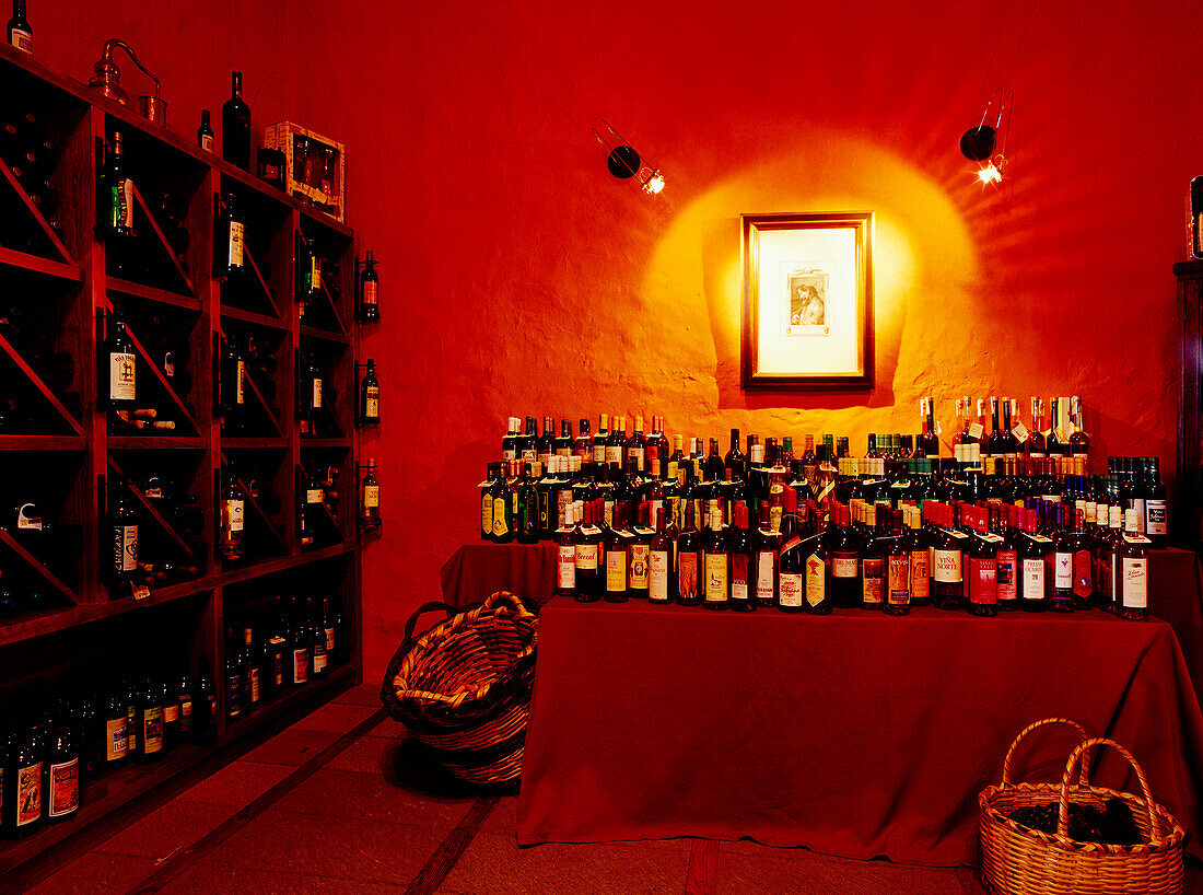 Sales room of a wine-growing estate, Casa del Vino, El Sauzal, Tenerife, Canary Islands, Spain
