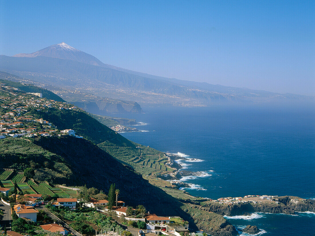Blick zum Teide, El Sauzal, Teneriffa, Kanarische Inseln, Spanien, Europa