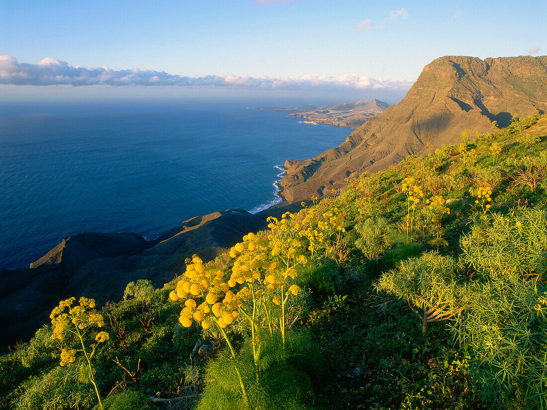 Steep coast with Puerto de las Nieves in the background, Faneque mountain, Tamadapa natural park, west coast, Gran Canaria, Canary Islands, Atlantic Ocean, Spain