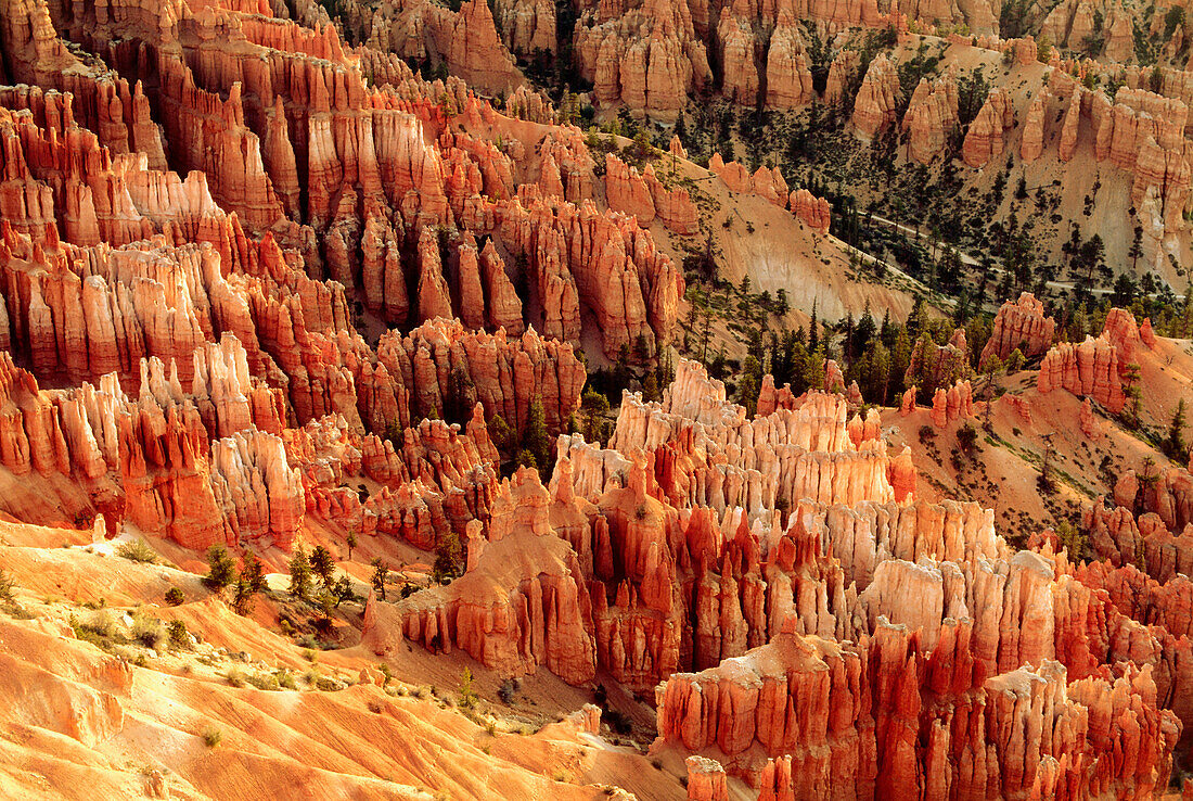 Rock formations, Bryce Canyon National Park, Utah, USA