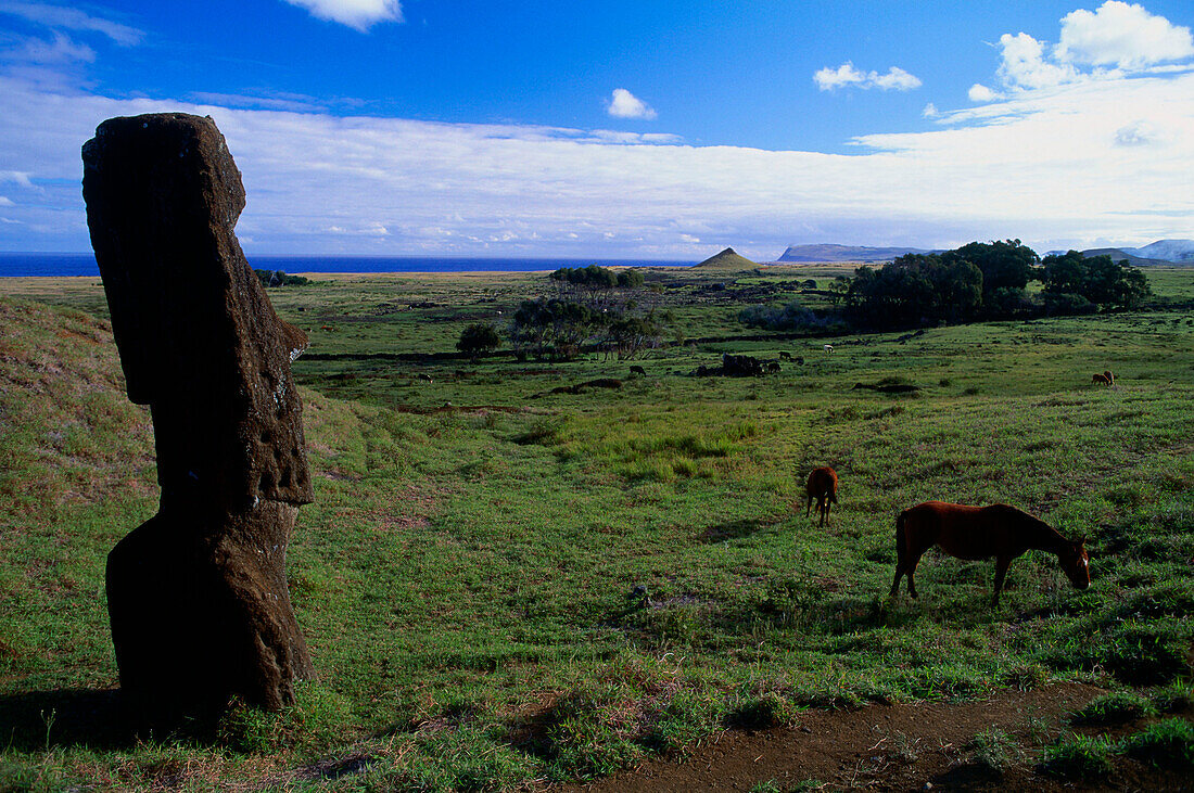 Sogenannte Bildhauerwerkstatt, Moai, Außenhang des Rano Raraku, Osterinsel