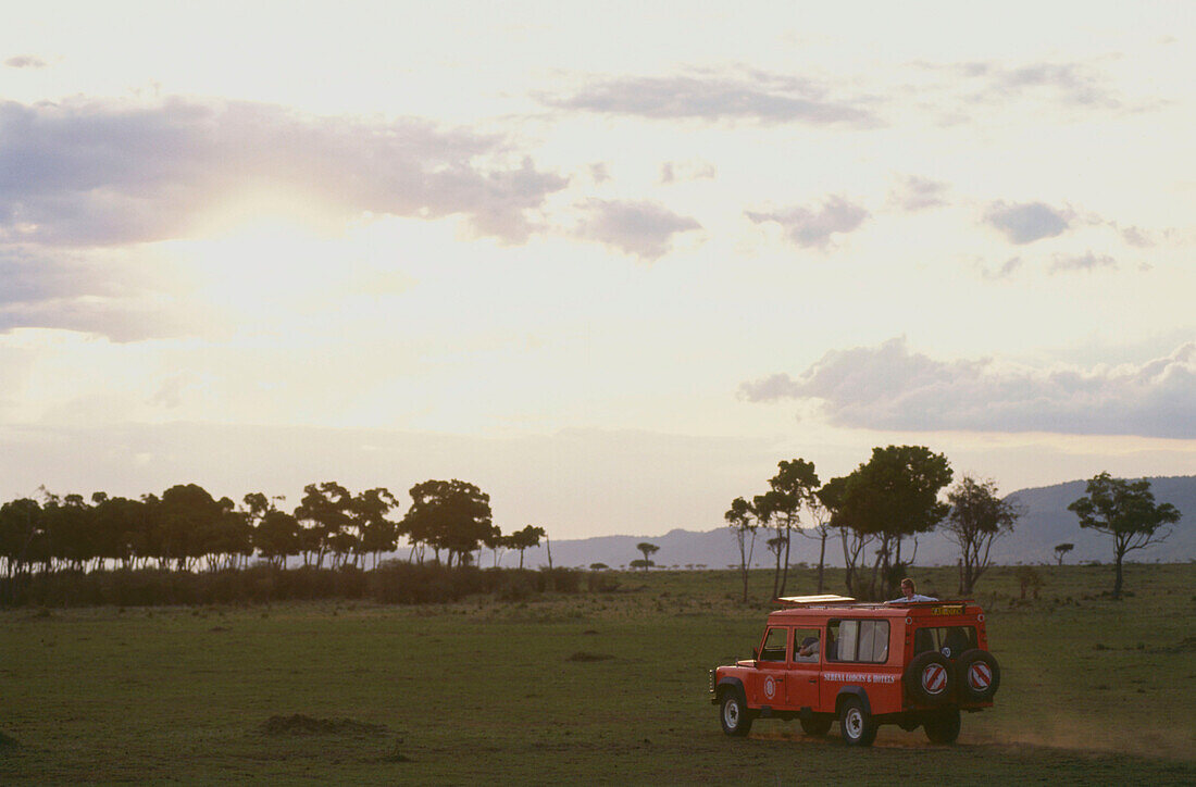 Safariauto, Abendstimmung nahe dem Mara River, Masai Mara National Reserve, Kenia, Afrika