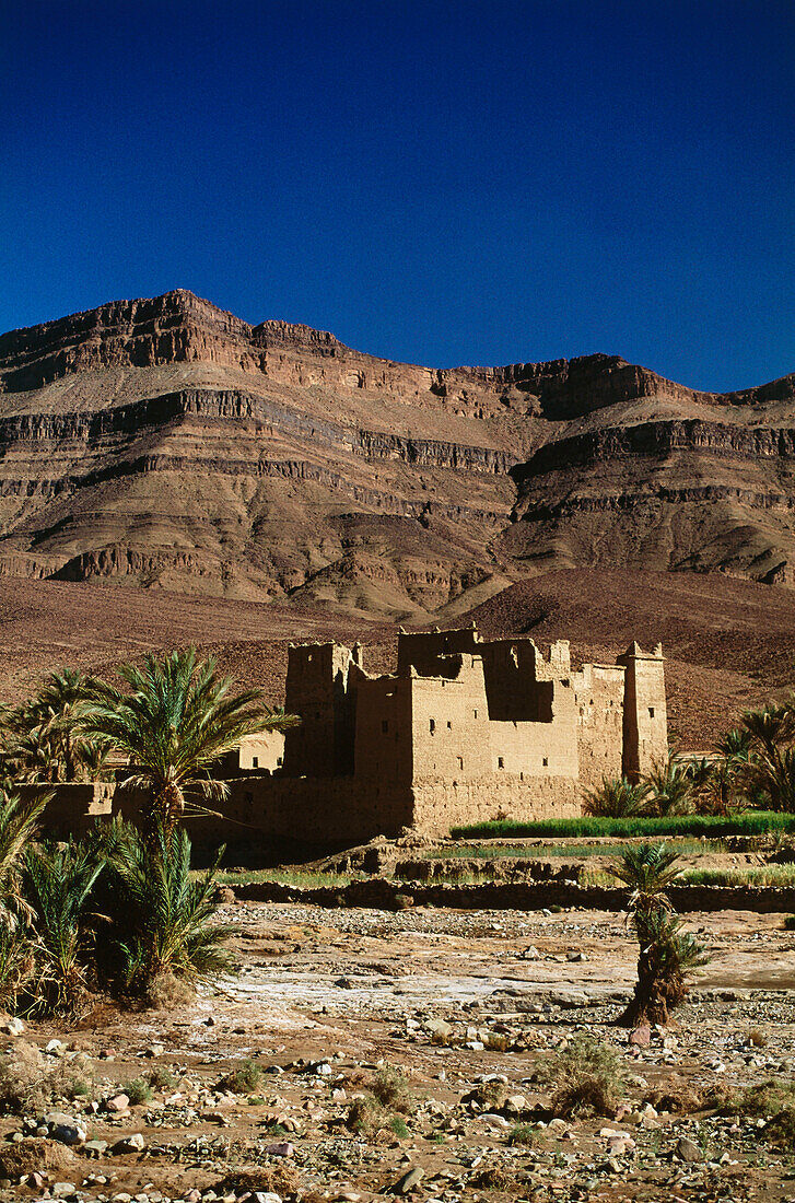 Kasbah bei Ouaguzagour im Draa Tal, Marokko, Afrika