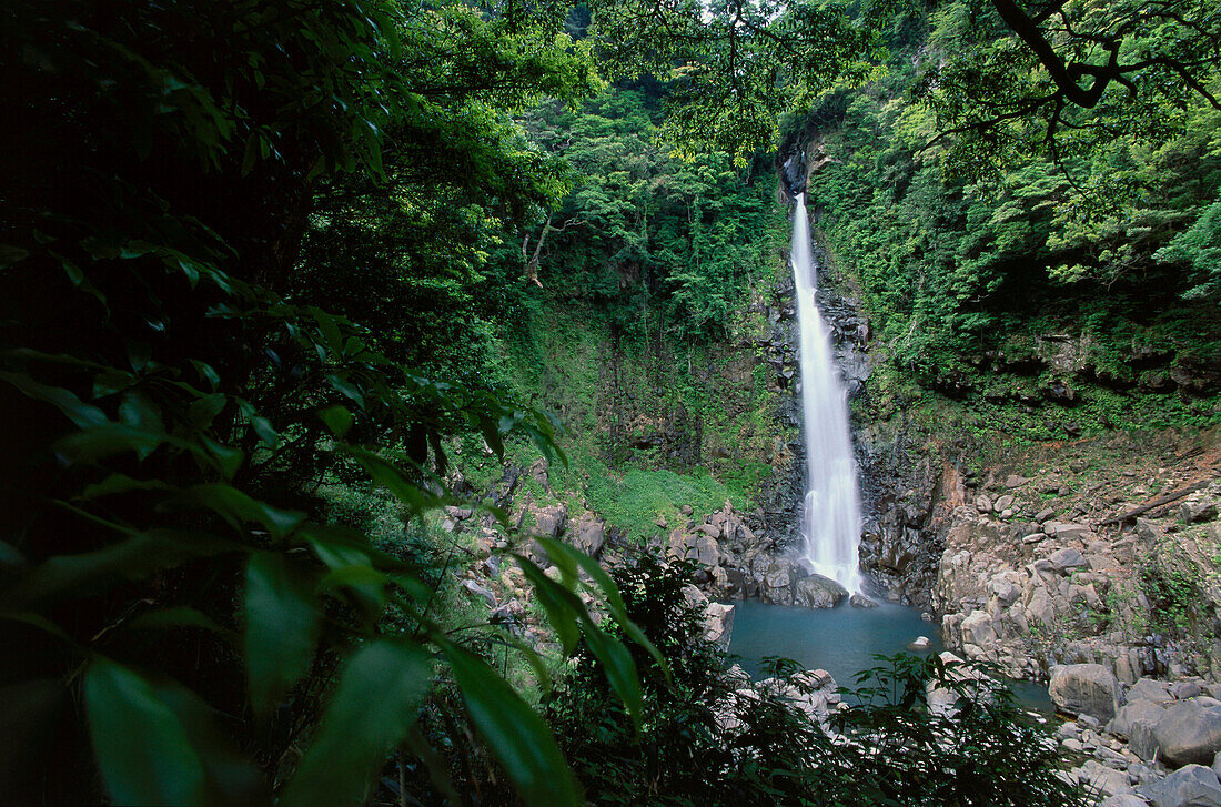 Waterfall Senriga Taki, subtropical Wood of Kirishima-Yako National Park, South Island of Kyushu, Japan