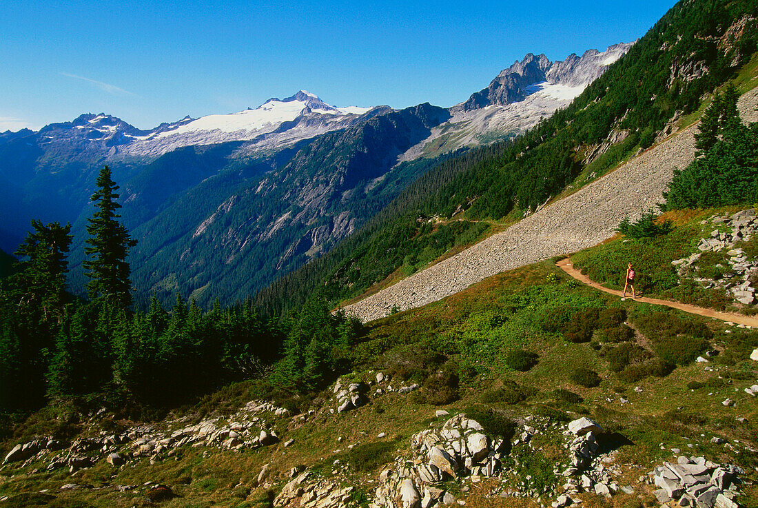 Trail to Cascade Pass, north Cascades national Park, Washington, USA