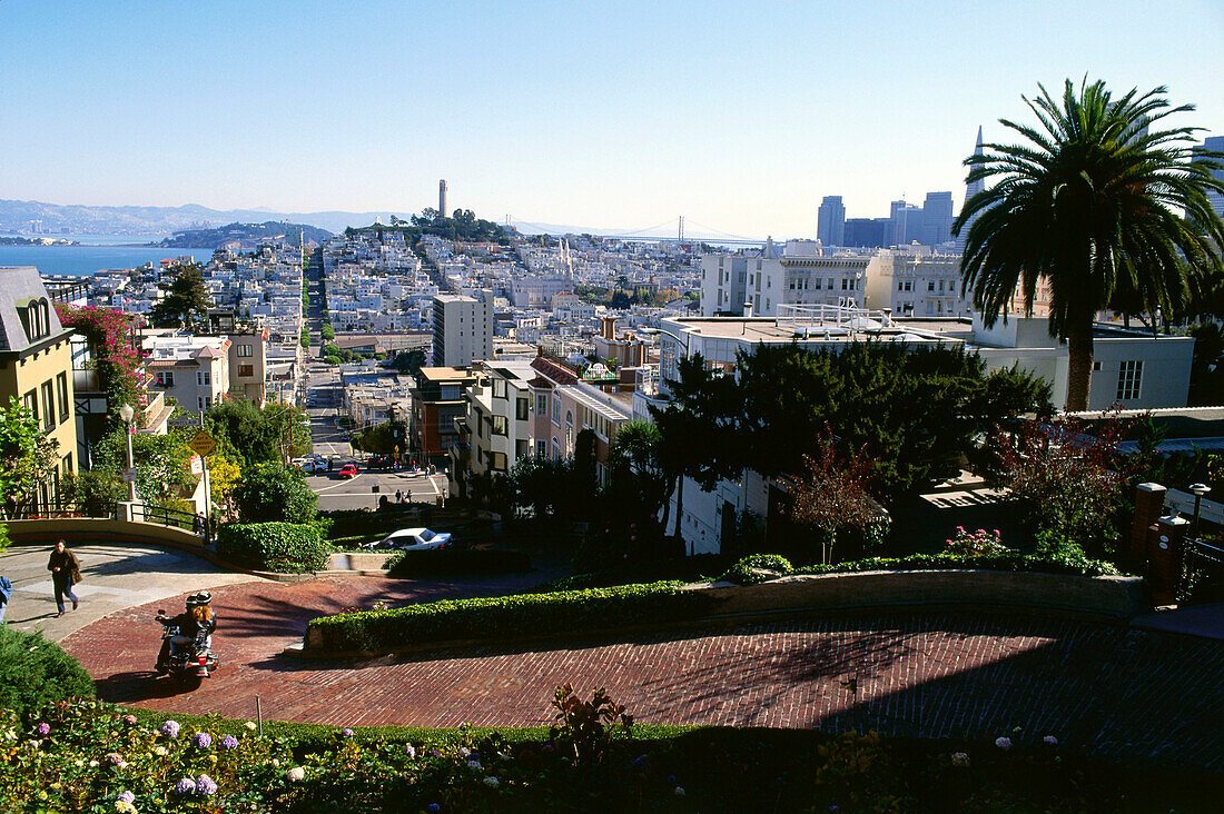Lombard Street, Russian Hill, San Francisco, California, USA
