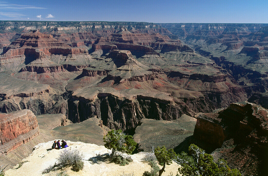 At Powell Point, West Rim Drive, South Rim, Grand Canyon Nat.Park, Arizona, USA