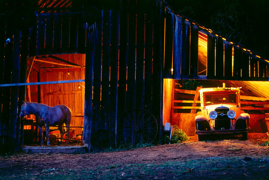 Oldtimer im Pferdeschuppen, in Van Horn am Skagit River, westl. North Cascades, Washington, USA