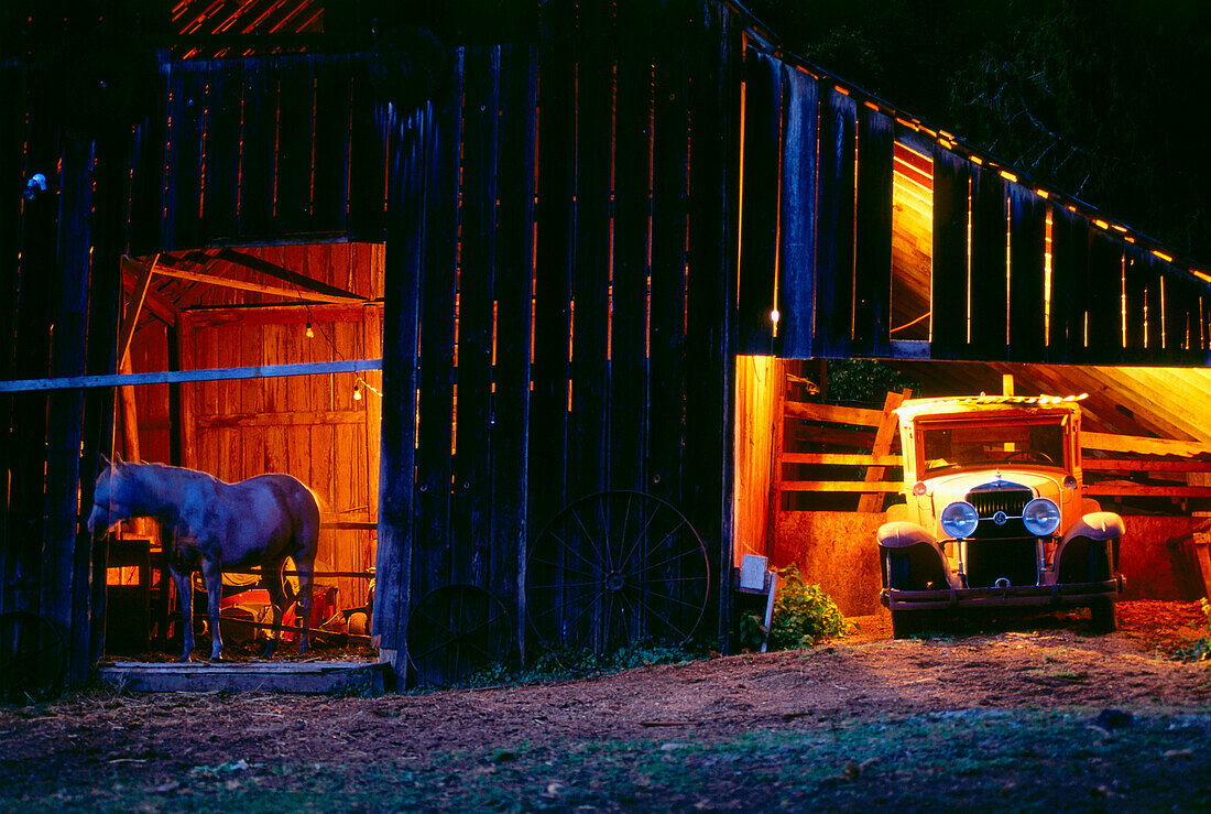 Oldtimer in horse stable west of North Cascades, Washington, USA