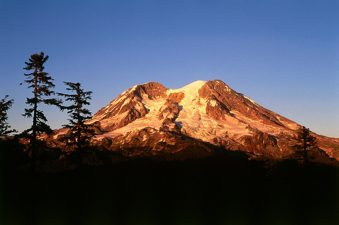 Blick von Glacier Wilderness auf Mt. Rainier, Nat. Park, Washington, USA