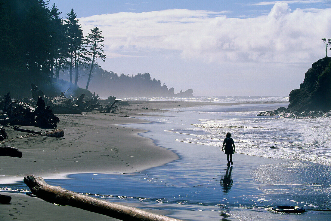 Wanderer at Second Beach, Beach Logs, Hiking Trail, Westküste, Olympic Nat. Park, Washington, USA