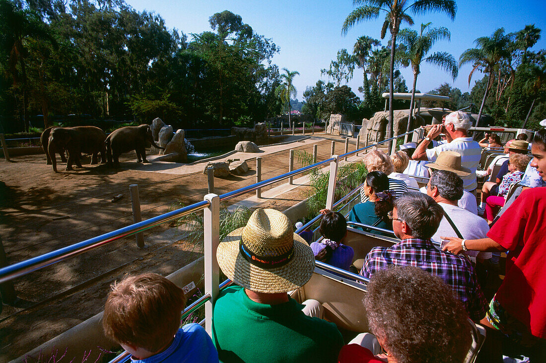 Bus tour, Zoo, San Diego, California, USA