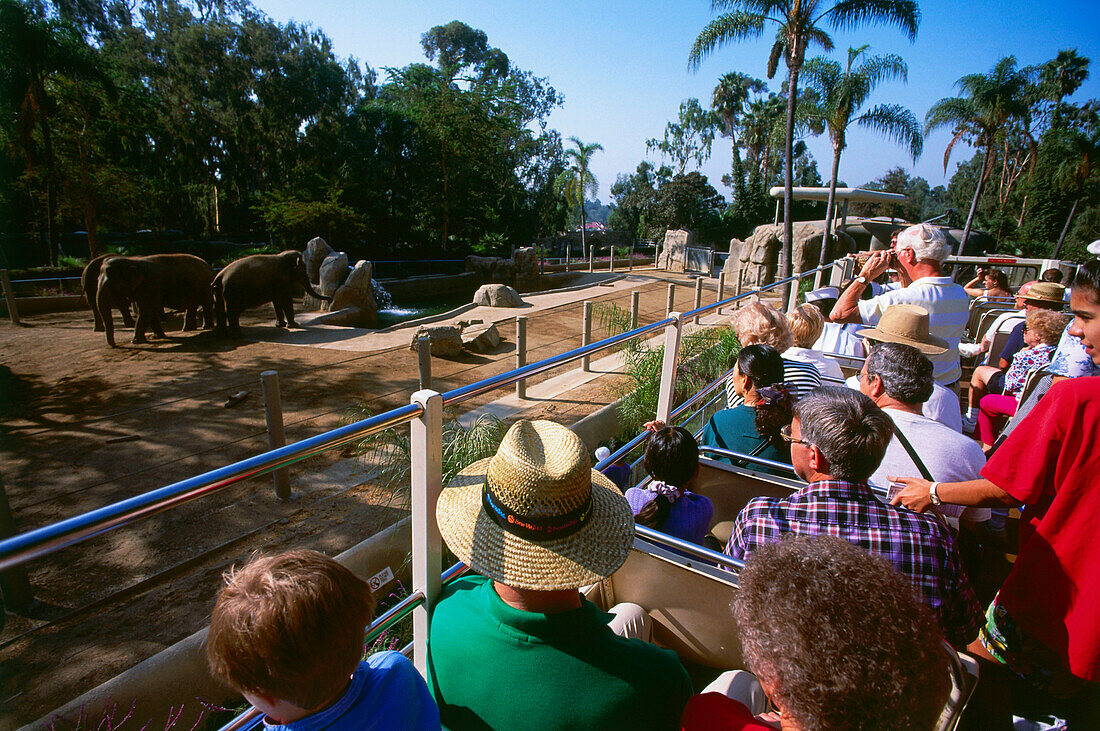 Bustour, Zoo, San Diego, Kalifornien, USA