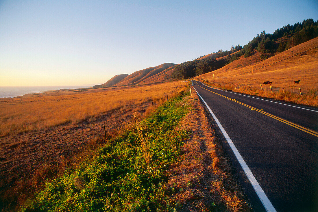 Highway 1, abens nördl. von Fort Bragg, Kalifornien, USA