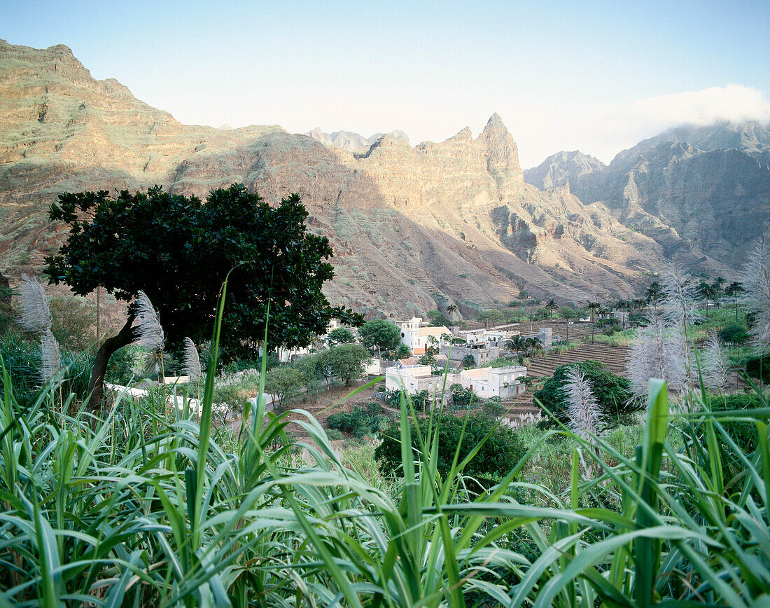 Cha da Igreja, village, cultivated valley, west of Ponta Sol., Isl. of Santo Antao, Cape Verde Islands /Carvo Verde