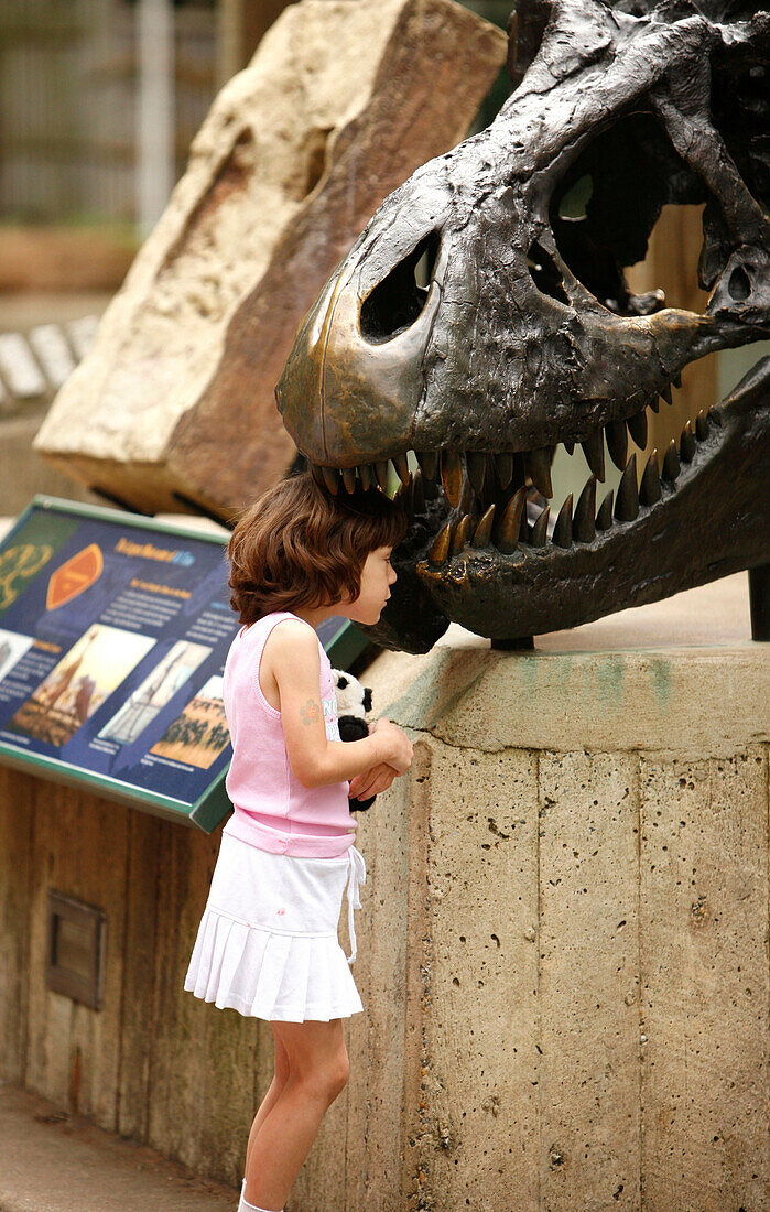 Ein Mädchen und ein Skulptur eines Dinosaurius in Washington Zoo, Washington DC, Vereinigte Staaten von Amerika, USA