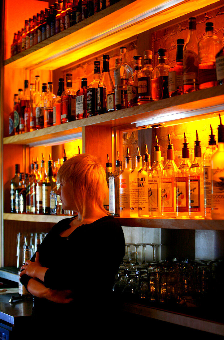 Barkeeper in einem Bar, Bourbon Bar, Washington DC, Vereinigte Staaten von Amerika, USA