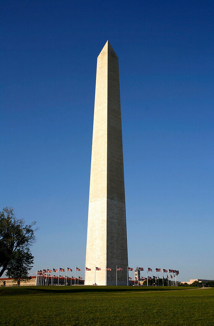 Blick auf das Washington Monument unter blauem Himmel, Washington DC, Amerika, USA