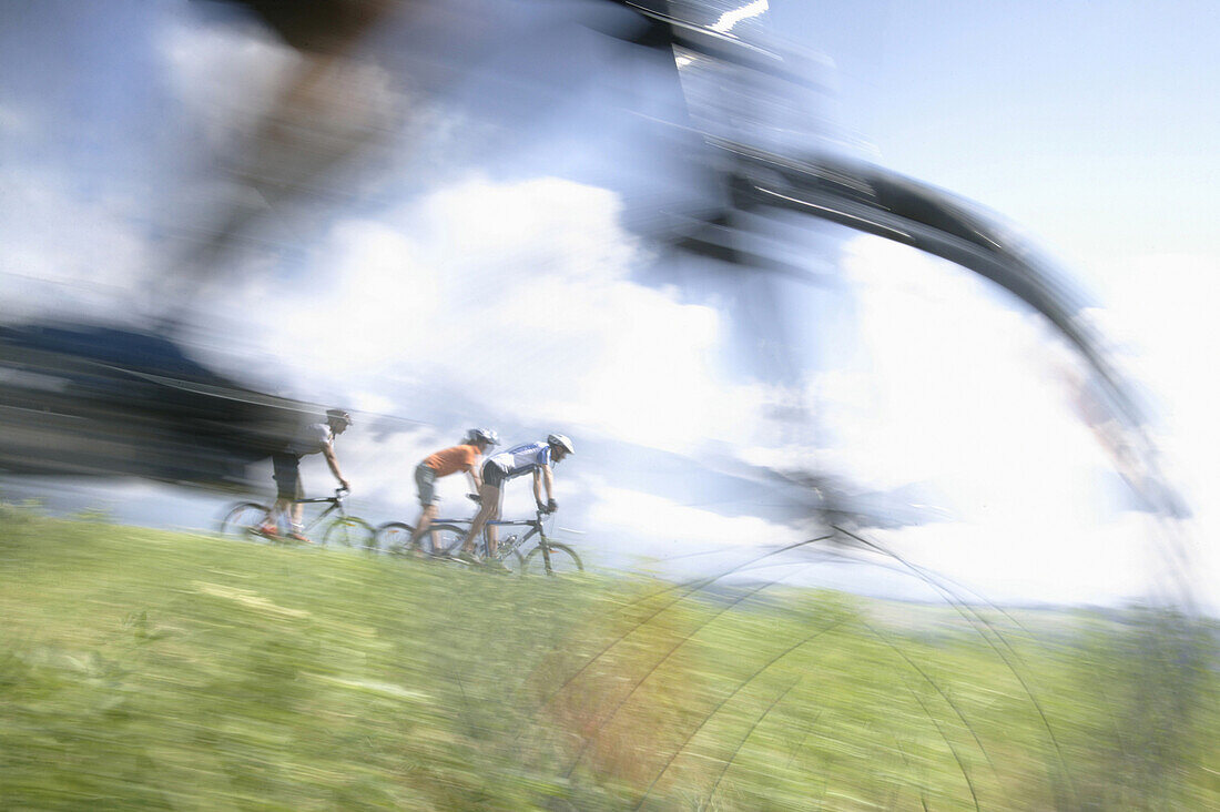 Cyclists riding mountain bicycles, Mieminger Plateau, Haiming, Tyrol, Austria