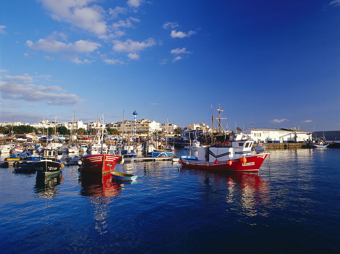 Fishing harbour, Arguineguin, Gran Canaria, Canary Islands, Spain