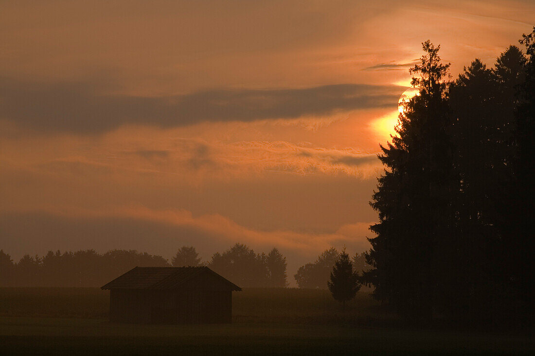 Sonnenaufgang über eine Scheune und Landschaft bei Schongau, Allgäu, Oberbayern, Bayern, Deutschland