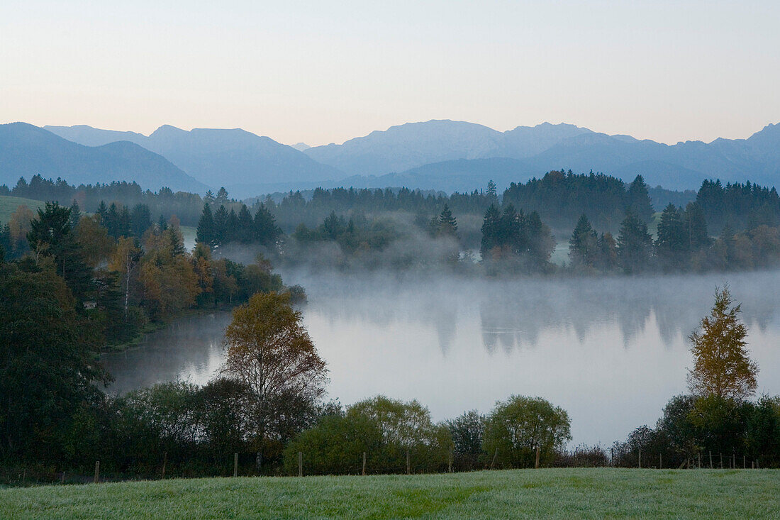 Schmuttersee im Morgenlicht, bei Füssen, Allgäu, Voralpenland, Oberbayern, Bayern, Deutschland