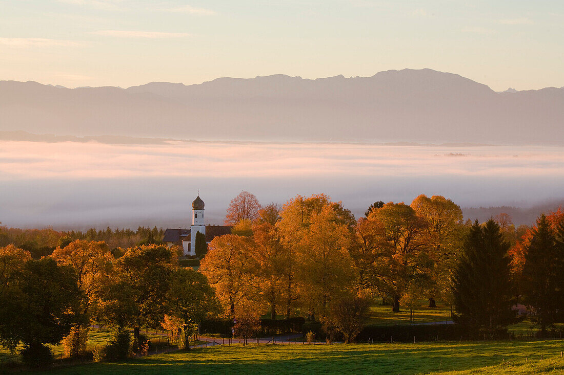 Ilkahoehe near Tutzing with mountain range in the background and morning mist, Lake Starnberg, Upper Bavaria, Bavaria, Germany