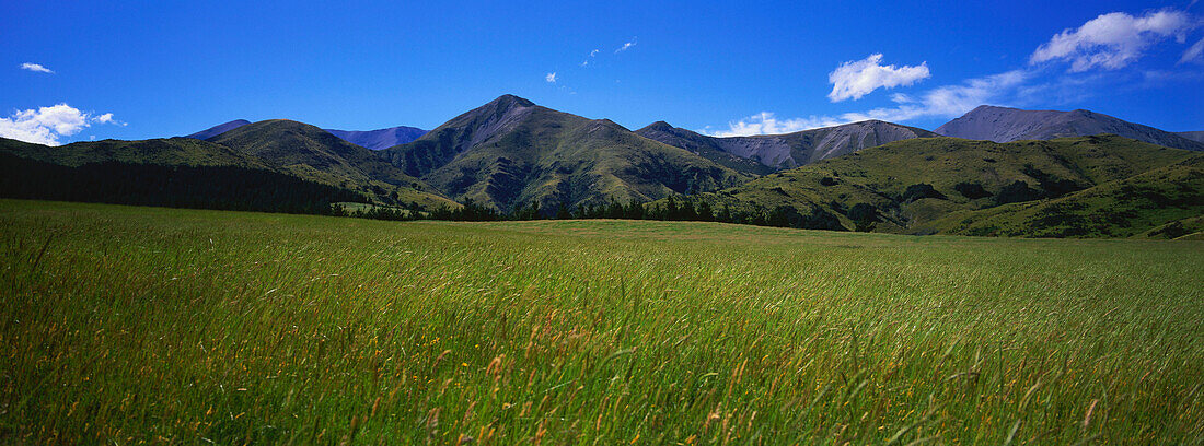 Panorama of grassy plains and wide landscape, South Island, New Zealand