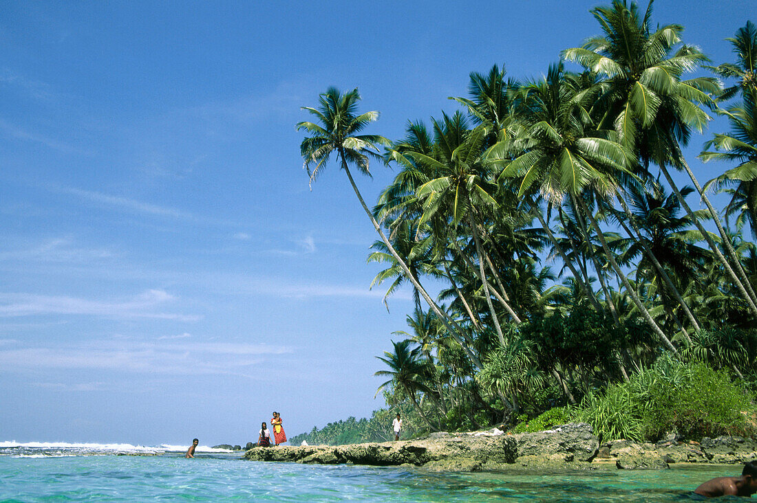 Ein Palmenstrand in Sri Lanka