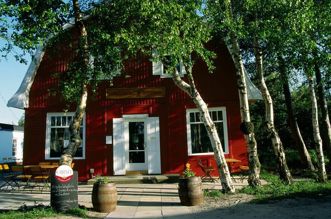 Framehouse, Vitte, Hiddensee Island, Mecklenburg-Western Pomerania, Germany, Europe