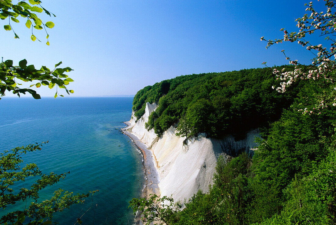 Blick auf Wissower Klinken, Nationalpark Jasmund, Insel Rügen, Mecklenburg Vorpommern, Deutschland