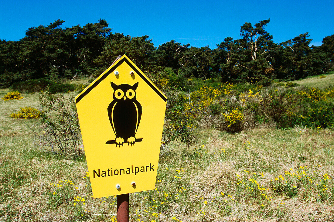 Decal information, Dornbusch National park Hiddensee Island, Mecklenburg-Western Pomerania, Germany, Europe