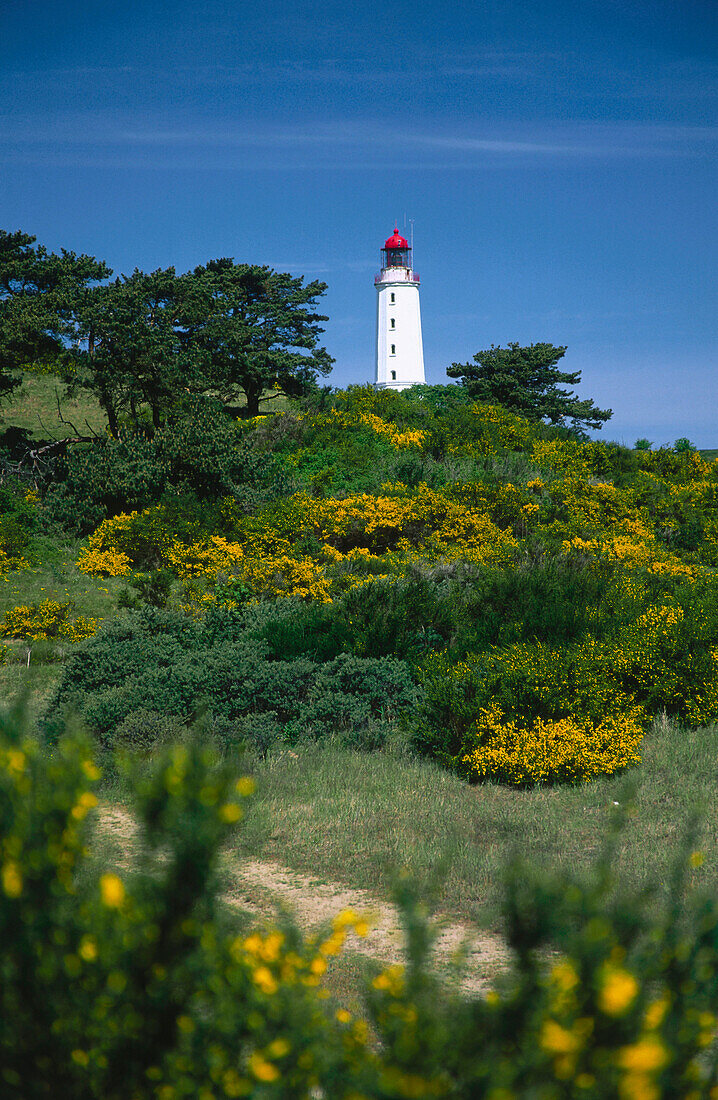 Leuchtturm, Insel Hiddensee, Mecklenburg Vorpommern, Deutschland