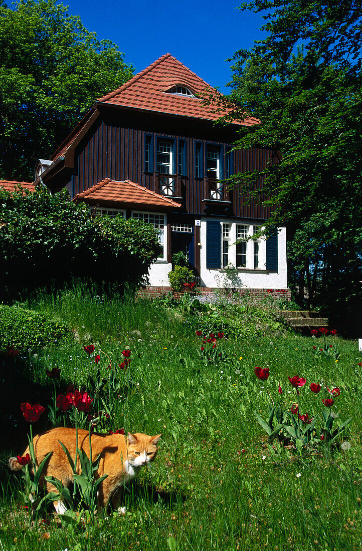 Kloster, Insel Hiddensee, Mecklenburg Vorpommern, Deutschland, Europa