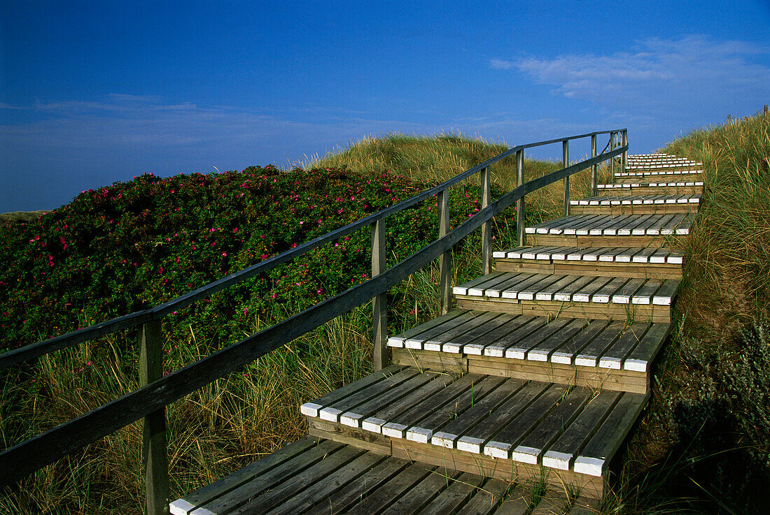 Wooden staircase over dunes, Rantum, Sylt Island, Schleswig-Holstein, Germany