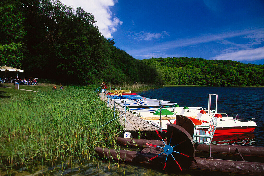 Lake of Wolgast, Natural park Usedom, Usedom Island, Mecklenburg-Western Pomerania, Germany, Europe