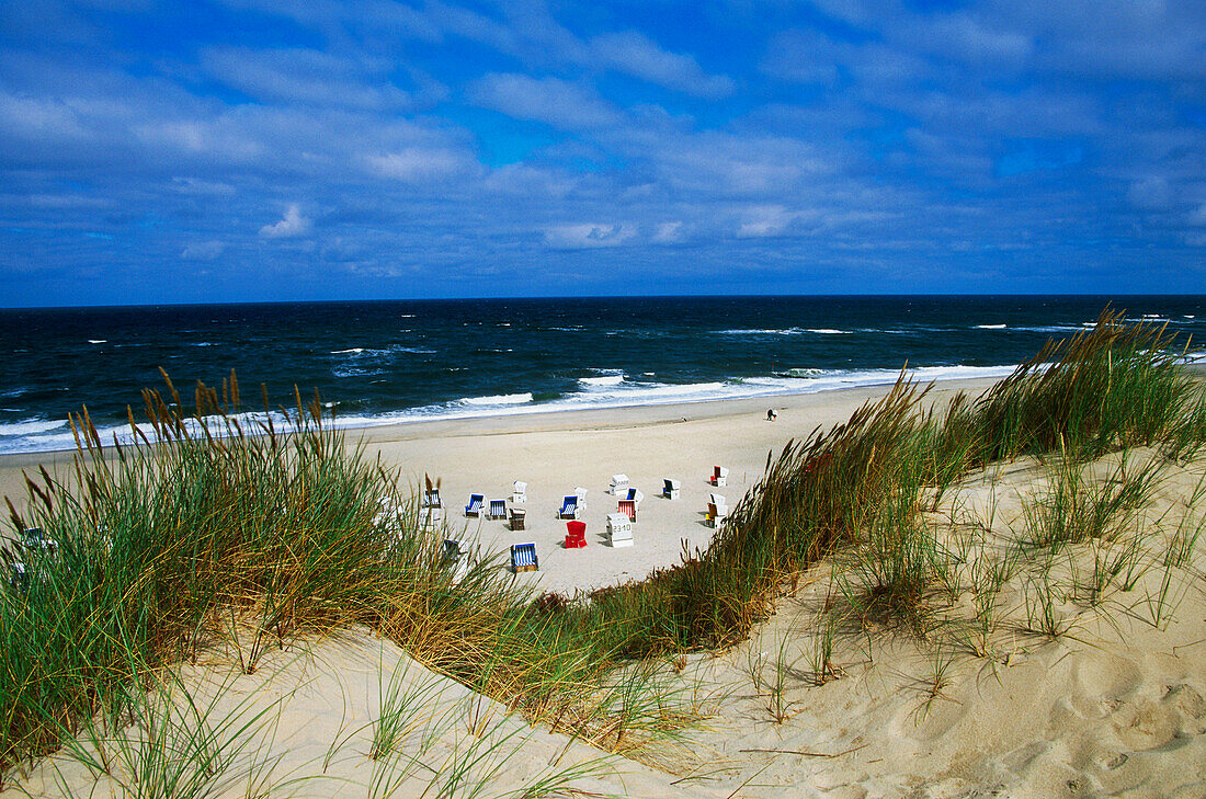 View over beach with bech chairs, Sylt Island, Schleswig-Holstein, Germany