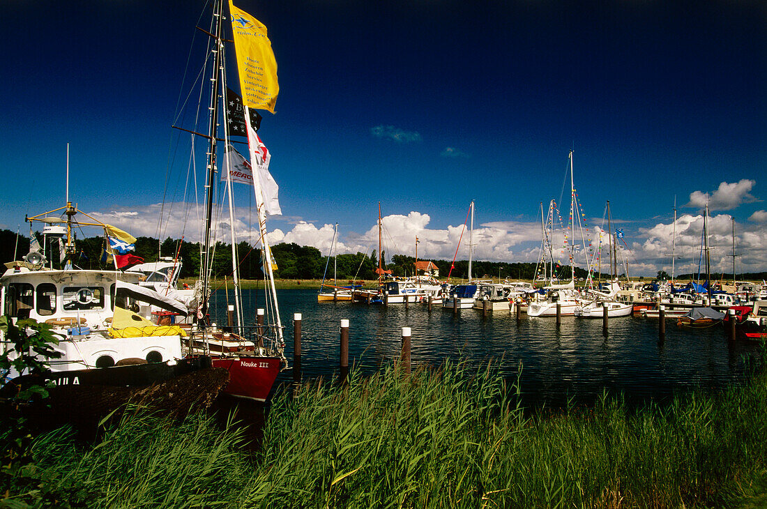 Prerow harbour, Darss, Mecklenburg-Western Pomerania, Germany