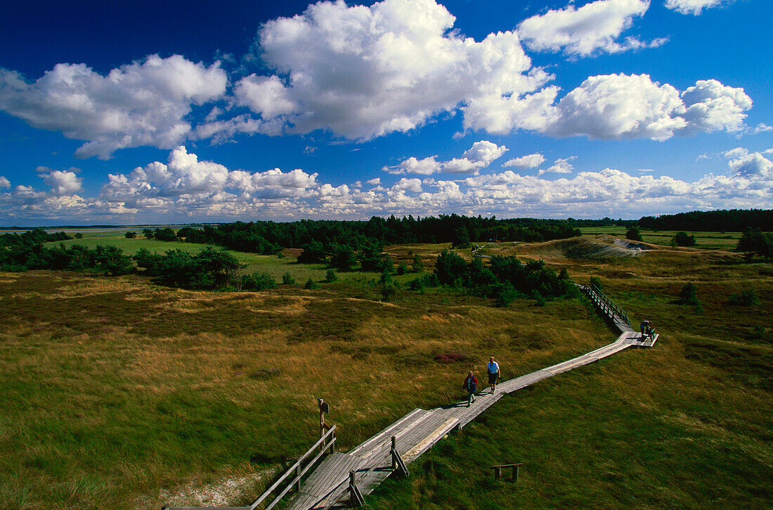 National Park, Zingst, Mecklenburg-Western Pomerania, Germany